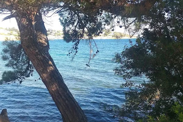 Kocaeli Yonca Tatil Sitesi - Resim 11