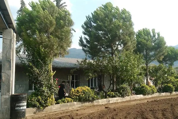 Polat Tarım Gıda San.Tic Ltd.Şti - Resim 3
