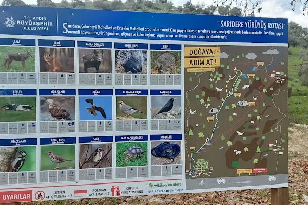 Sarıdere yürüyüş yolu - Resim 2