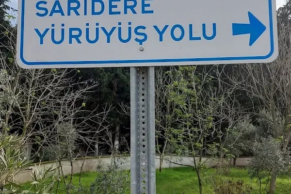 Sarıdere yürüyüş yolu - Resim 17