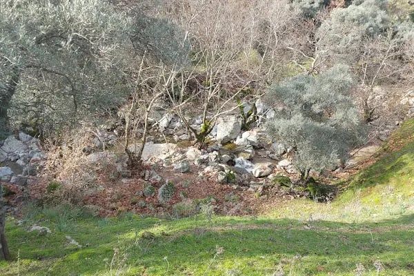 Sarıdere yürüyüş yolu - Resim 10
