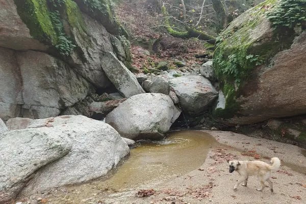 Sarıdere yürüyüş yolu - Resim 5
