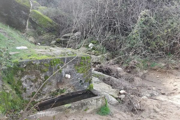 Sarıdere yürüyüş yolu - Resim 8