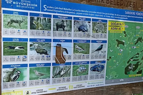 Sarıdere yürüyüş yolu - Resim 15