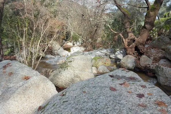 Sarıdere yürüyüş yolu - Resim 4