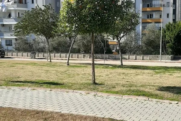 ABB-Manolya Çocuk ve Dinlenme Parkı - Resim 18