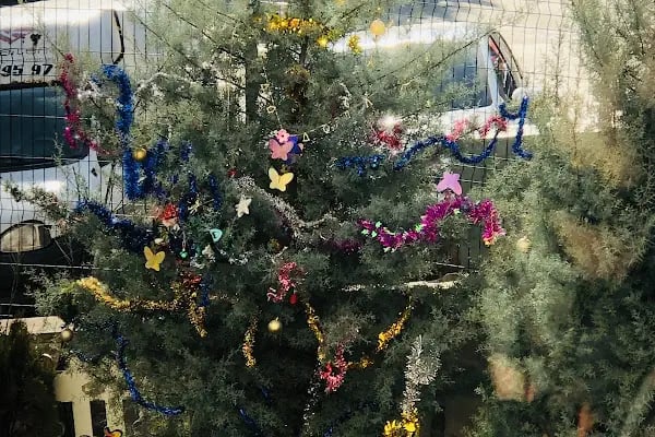 Çocuk Dünyası Anaokulu ve Kreş - Resim 15
