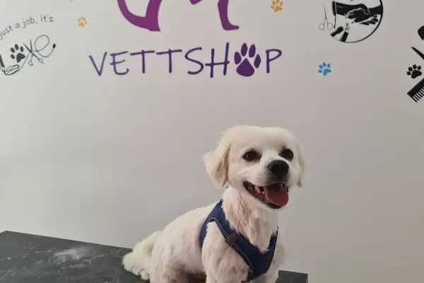 VettShop - Resim 16