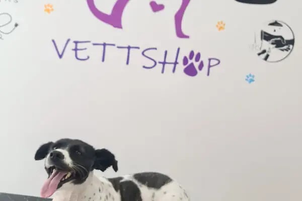 VettShop - Resim 11