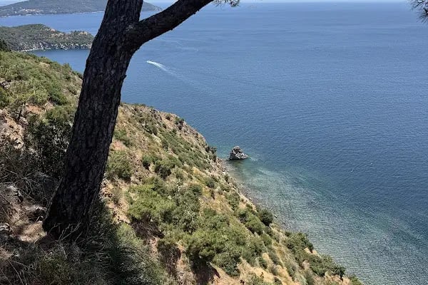 Burgazada Ahırları - Resim 9