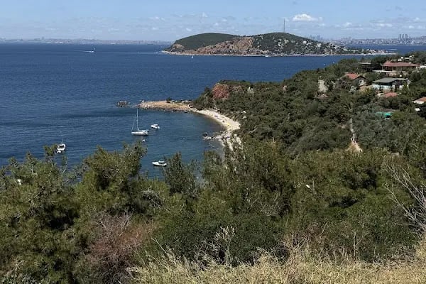 Burgazada Ahırları - Resim 7