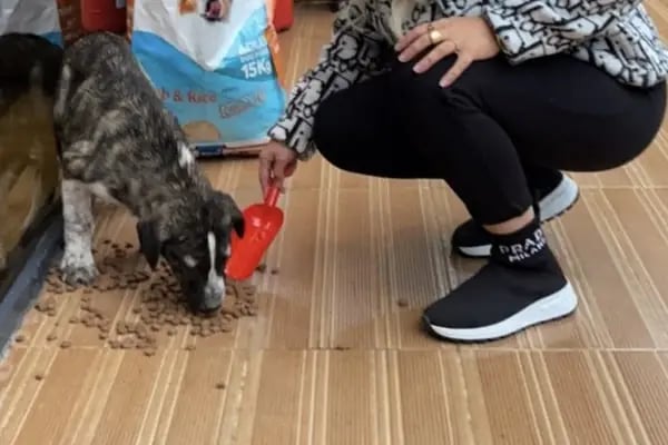 Kumla Pet Shop Saygınkent - Resim 7