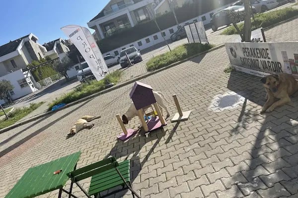 Kumla Pet Shop Saygınkent - Resim 20