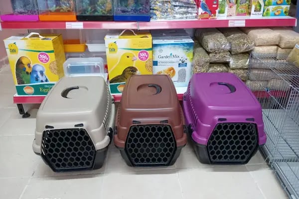 Bulutpetmarket Alo Mama Açık Mama Kedi Köpek Maması Kedi Kumu Kuş Kafes Akvaryum Balık Kümes Hayvanları Ekipmanları - Resim 18
