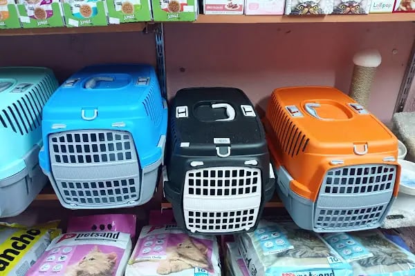 Bulutpetmarket Alo Mama Açık Mama Kedi Köpek Maması Kedi Kumu Kuş Kafes Akvaryum Balık Kümes Hayvanları Ekipmanları - Resim 2