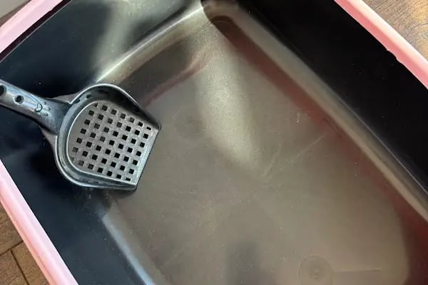 Bulutpetmarket Alo Mama Açık Mama Kedi Köpek Maması Kedi Kumu Kuş Kafes Akvaryum Balık Kümes Hayvanları Ekipmanları - Resim 5