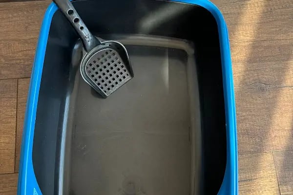 Bulutpetmarket Alo Mama Açık Mama Kedi Köpek Maması Kedi Kumu Kuş Kafes Akvaryum Balık Kümes Hayvanları Ekipmanları - Resim 12