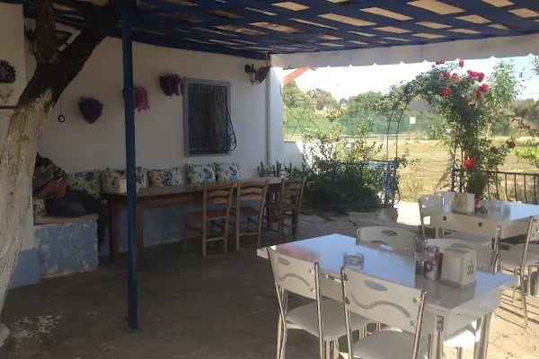 Meşhur Bafra Pidecisi - Resim 7