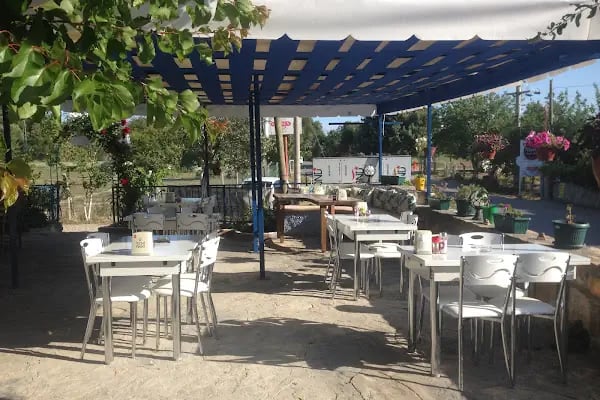 Meşhur Bafra Pidecisi - Resim 1