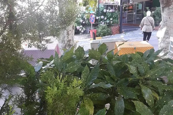 Çınar Aile Pansiyonu - Resim 2