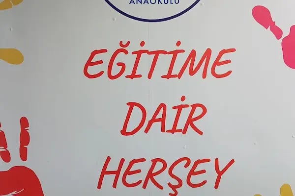 ÖZEL ALFA ÇOCUK ANAOKULU - Resim 9