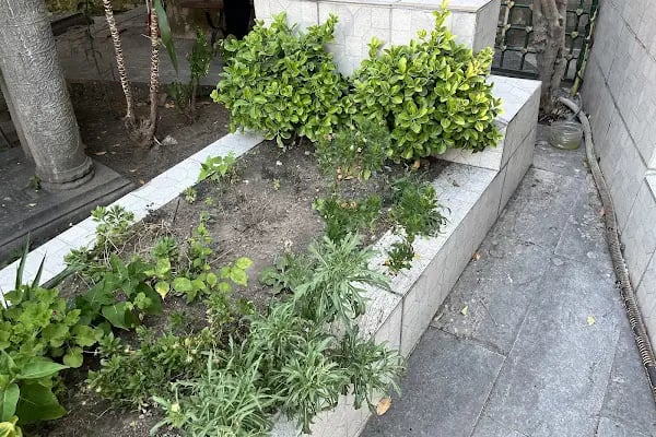 Baba Haydar Semerkandi Türbesi - Resim 5