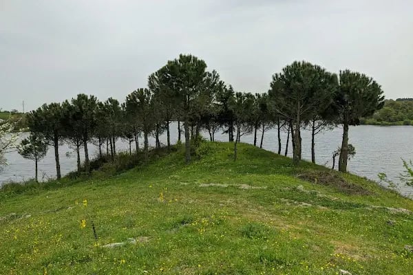 Davutlar Baraj Gölü - Resim 16