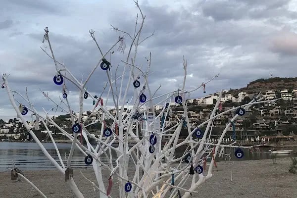 Bodrum değirmen - Resim 11