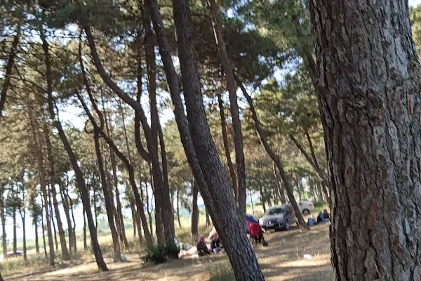 Kamp alanı İznik Gölü - Resim 7