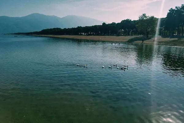 Kamp alanı İznik Gölü - Resim 15