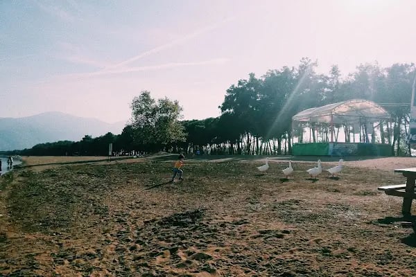 Kamp alanı İznik Gölü - Resim 17