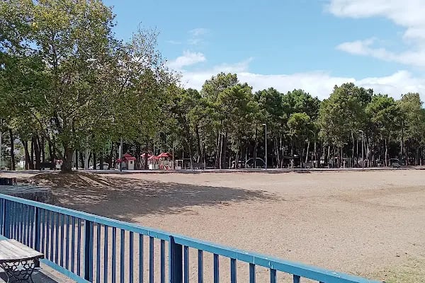 Kamp alanı İznik Gölü - Resim 14