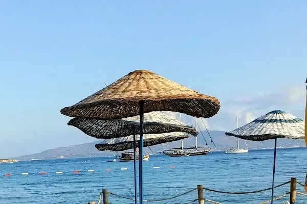 Moonlight Restaurant - Resim 4