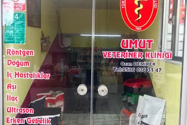 UMUT veteriner kliniği - Resim 6