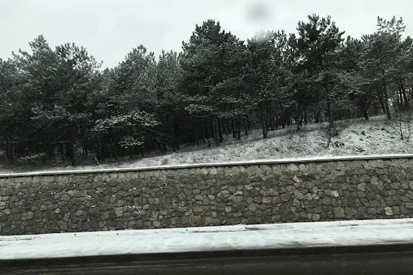 Gaziosmanpaşa Vergi Dairesi - Resim 19