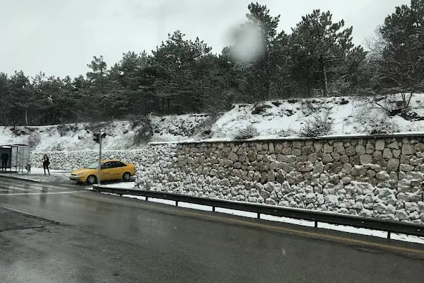 Gaziosmanpaşa Vergi Dairesi - Resim 3