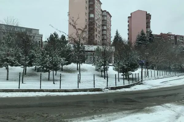 Gaziosmanpaşa Vergi Dairesi - Resim 10