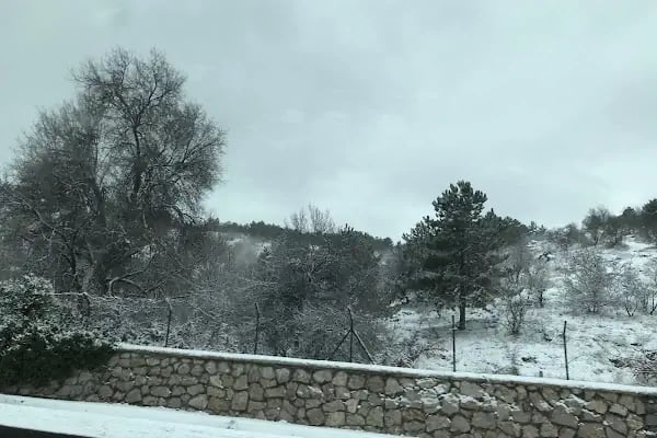 Gaziosmanpaşa Vergi Dairesi - Resim 5