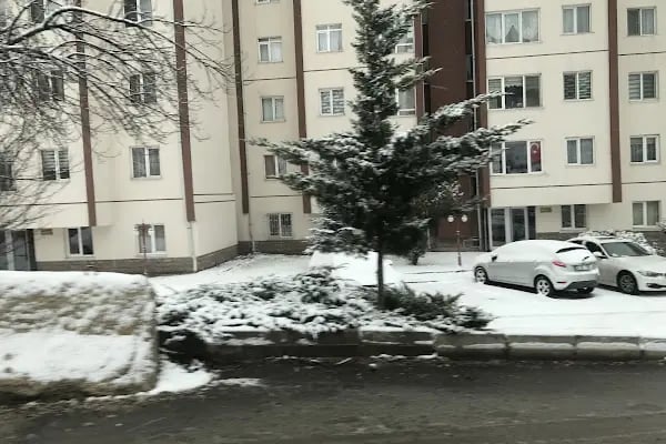 Gaziosmanpaşa Vergi Dairesi - Resim 15