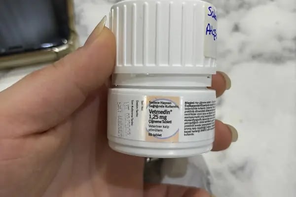 Duru Pati Veteriner Kliniği - Resim 8