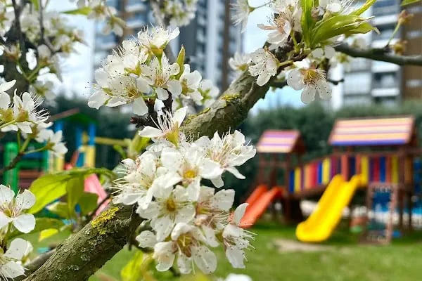 Özel Çerkezköy Tomurcuk Anaokulu - Resim 6