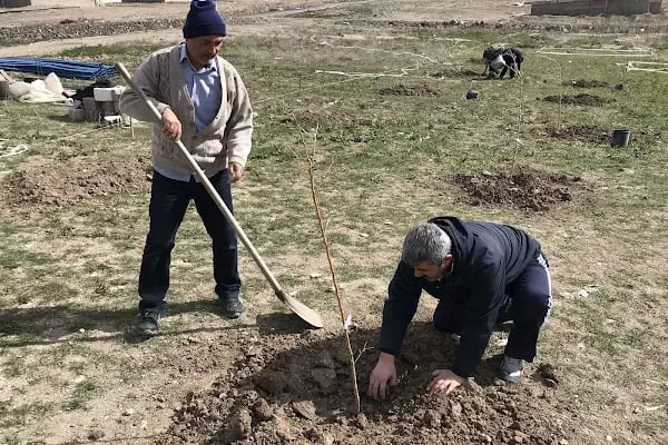 Güzelyurt Yeşil Vadi Kooperatifi - Resim 17