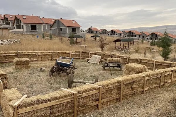 Güzelyurt Yeşil Vadi Kooperatifi - Resim 4
