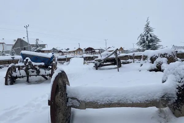 Güzelyurt Yeşil Vadi Kooperatifi - Resim 15