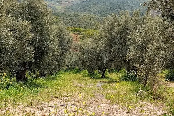 Gebze Teknik Üniversitesi Çevre Mühendisliği Bölümü - Resim 10