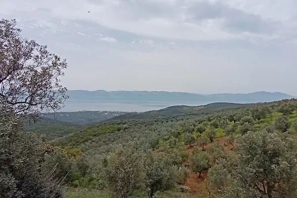 Gebze Teknik Üniversitesi Çevre Mühendisliği Bölümü - Resim 8