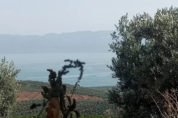 Gebze Teknik Üniversitesi Çevre Mühendisliği Bölümü - Resim 2