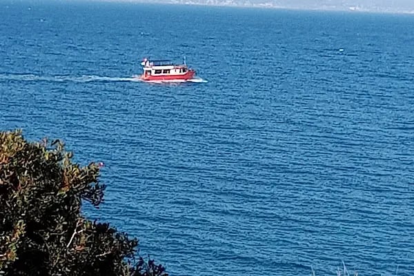Gebze Teknik Üniversitesi Çevre Mühendisliği Bölümü - Resim 13
