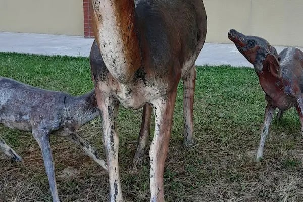 Maltepe Üniversitesi Amfitiyatro - Resim 15