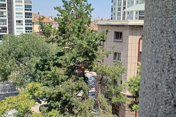Ankara Eğitim ve Araştırma Hastanesi Konferans Salonu - Resim 9